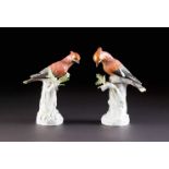 PAAR VOGELFIGUREN 'SEIDENSCHWANZ' Deutsch, Meissen, 1952 Porzellan, polychrome Malerei. Bis ca.