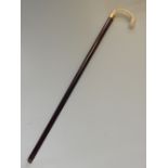 A Victorian / Edwardian gold mounted ivory handled rosewood walking stick.