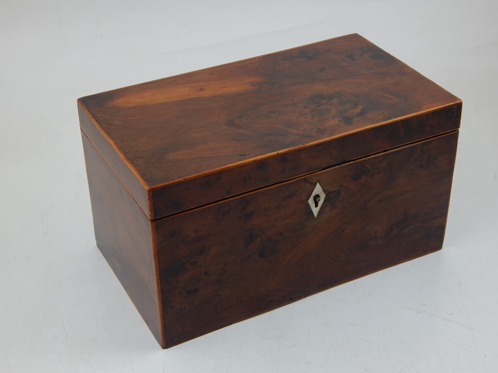 An early 20th century yew tea caddy with bone escutcheon and twin interior,