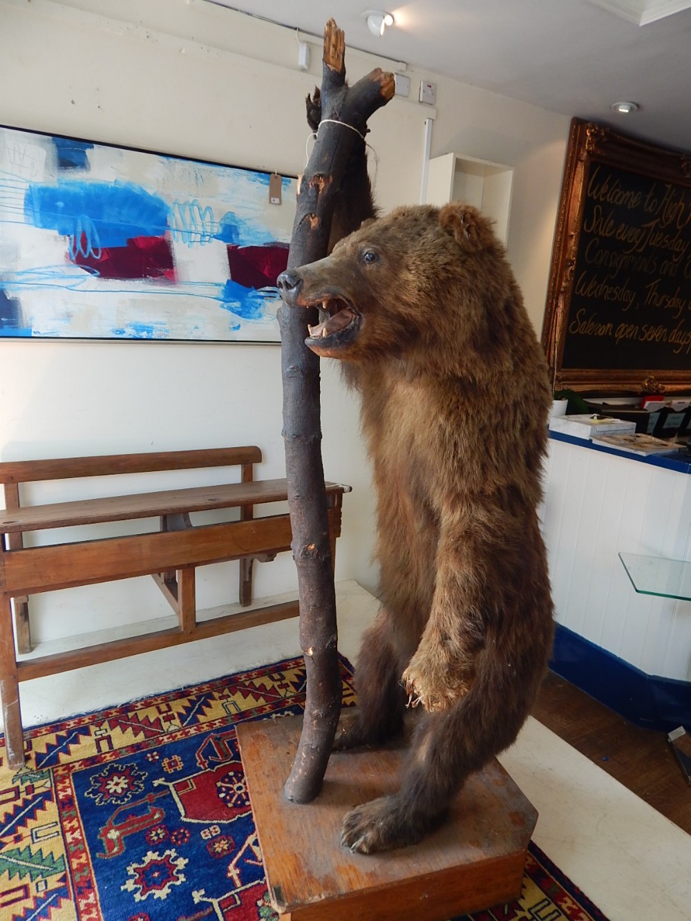 A late 19th century taxidermy bear, standing on its hind legs holding a wooden staff,