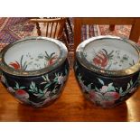 A pair of fish bowls, the interiors decorated with carp and water-plants, the exteriors with apple