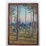 20th century Canadian school, wooded mountain landscape, watercolour on paper, indistinctly