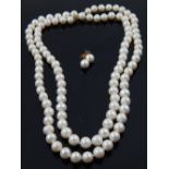 A white pearl necklace, with 14 carat clasp, together with a pair of matching pearl and yellow