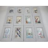 A set of twelve 19th century Chinese rice paper paintings of birds, mounted in hand painted frames.