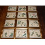 A set of twelve 19th century Chinese rice paper paintings of birds, mounted in hand-painted frames.