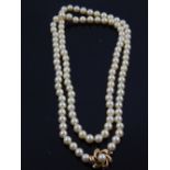 A uniform string of pearls, with a yellow metal foliate clasp centred by a pearl, L. 69cm.