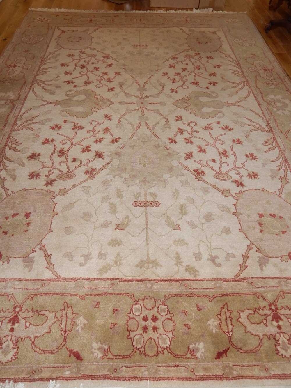 A cream ground Ziegler rug, of foliate design, sage border, fringed, L.380, W.