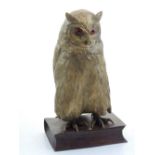 A cast bronze model of an owl, with amber glass eyes, standing on a book, H. 27cm