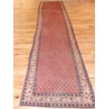 A red ground Mir rug, decorated with stylised palmette design, within geometric border, fringed.