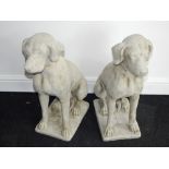 A pair of reconstituted stone dogs, seated. H. 71cm (2)