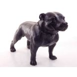 A dark patinated bronze of a standing Staffordshire bull terrier, with studded collar. L.