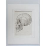 Late 19th / mid 20th century pencil and colour drawings, A. N. Pearson, natural history study of a