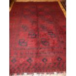 Large Bokara rug with an arrangement of six elephant pads on a red ground, 340x 244cm