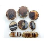Interesting collection of various Scottish banded agate cloak pins,