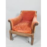 Regency mahogany armchair, upholstered in pink velvet,