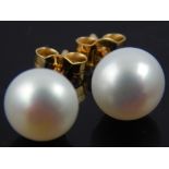 Pair of 9ct yellow gold pearl ear studs