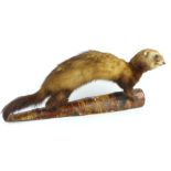 Taxidermy study of a polecat, on wooden base,