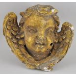 A wall-mounted plaster of Paris cast of a cherub's head, framed by wings, H.