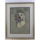 20th century British school, Golden Retriever, signed with monogram lower right 31 x 24cm.