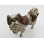 A cold painted bronze in the form of a King Charles spaniel