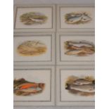 Alexander Francis Lydon (British, 1836-1917), a set of twelve hand-coloured plates of fish,