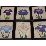 A set of twelve Japanese woodcut prints of Iris, circa 1920,