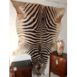 A zebra hide, including head and tail, L. 270cm.