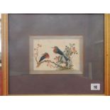 A pair of 18th Century paintings on rice paper of exotic birds, mounted, framed an glazed - 4 1/4in.