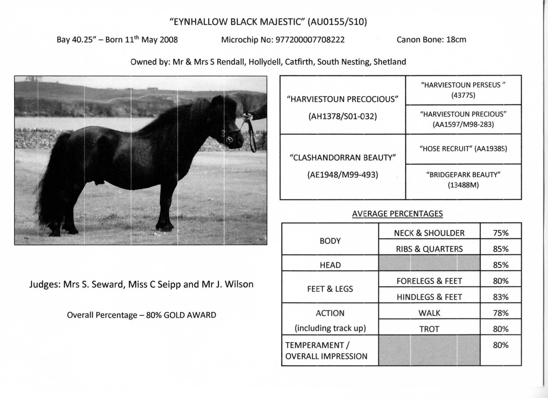 Black - 40.25" - Licensed Stallion, - DOB: 11th May 2008 - Image 5 of 5