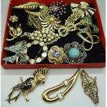 Seventeen costume brooches