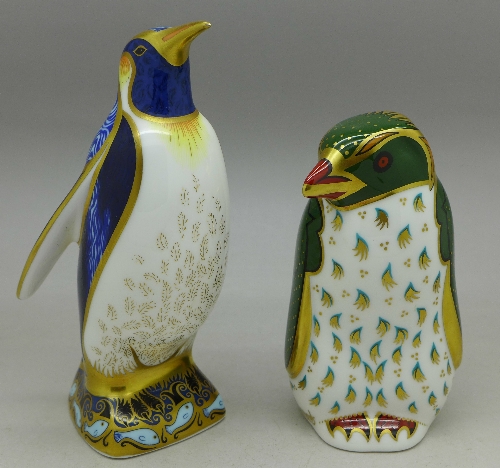 Two Royal Crown Derby paperweights, Harrods Rockhopper Penguin, limited edition,