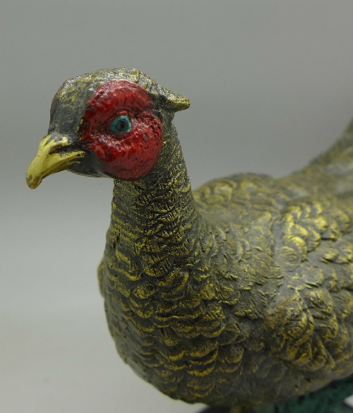 A cast, cold painted model of a pheasant on a base, width of base 14. - Image 2 of 3