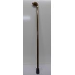 A walking cane with dog's head handle