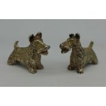 Two small silver terrier dogs