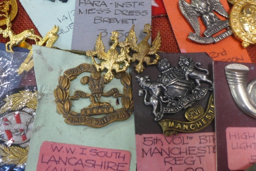 A case of military badges, - Image 2 of 2