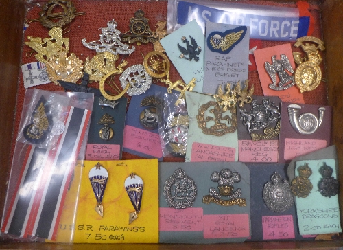 A case of military badges,