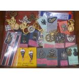 A case of military badges,