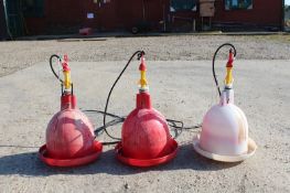 25 x Potters bell drinkers. Used Potters bell drinkers for poultry. Location Fakenham, Norfolk.