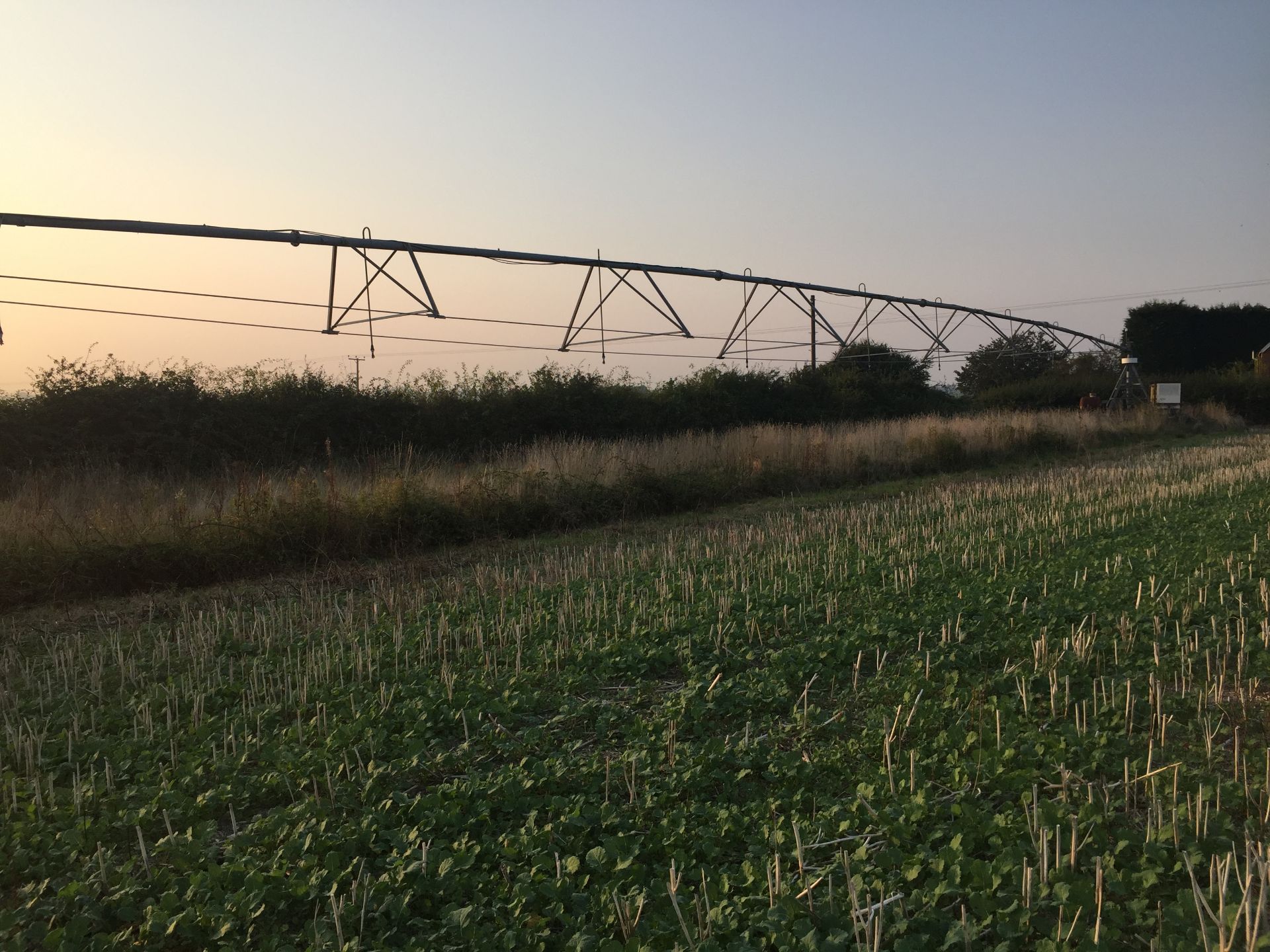 Linear Irrigator.