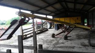 Fyson FE 4007 30ft Corn Elevator with 6ft swivel extension. Location: Horbling, Lincolnshire