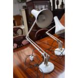 A vintage Anglepoise desk lamp,maker Herbert Terry & Sons,