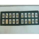 A collection of Gallachers and Players cigarette cards of wild birds and canaries in a 1930's album