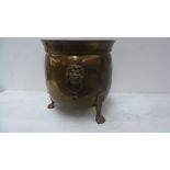 A 19th century brass pot, with lion mask loop handles,
