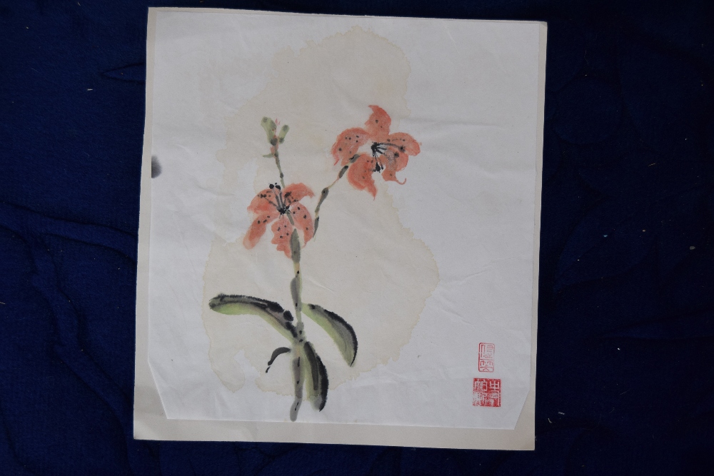 A Chinese botanical watercolour on rice paper,