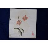A Chinese botanical watercolour on rice paper,