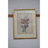 A botanical watercolour on vellum of spring flowers, 19th century,