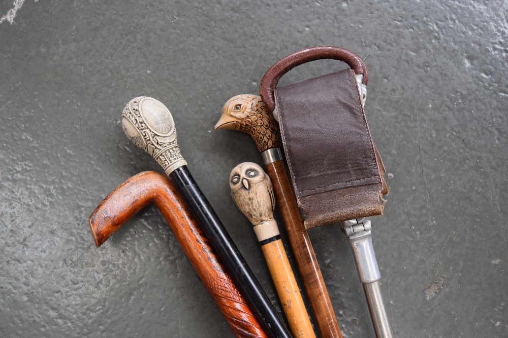 A group of walking sticks, one with a pheasant, - Image 4 of 4