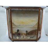 A family of taxidermy mallards in wooden glazed cabinet,