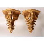 A pair of 19th century Italian gilt wood wall brackets in the Rococo style,