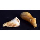 A carved incisor tooth in the form of a polar bear,
